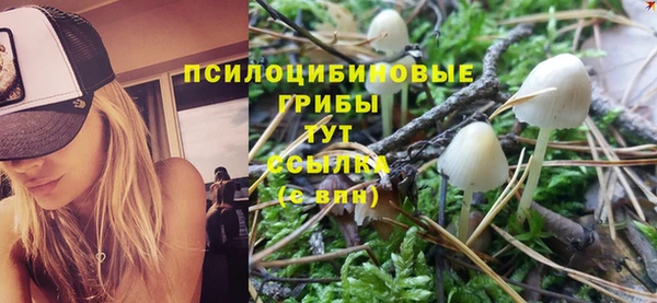 меф Пролетарск