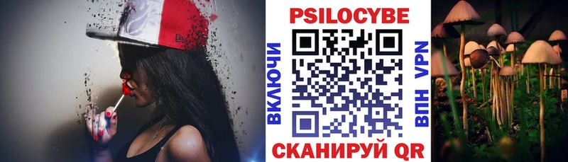 Псилоцибиновые грибы Psilocybe  где можно купить наркотик  Нариманов 